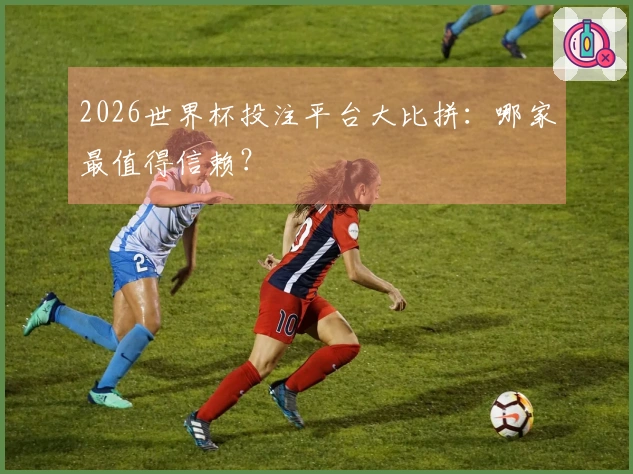 2026世界杯投注平台大比拼：哪家最值得信赖？