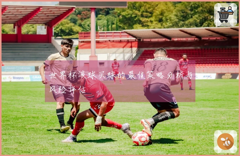 世界杯滚球买球的最佳策略分析与风险评估