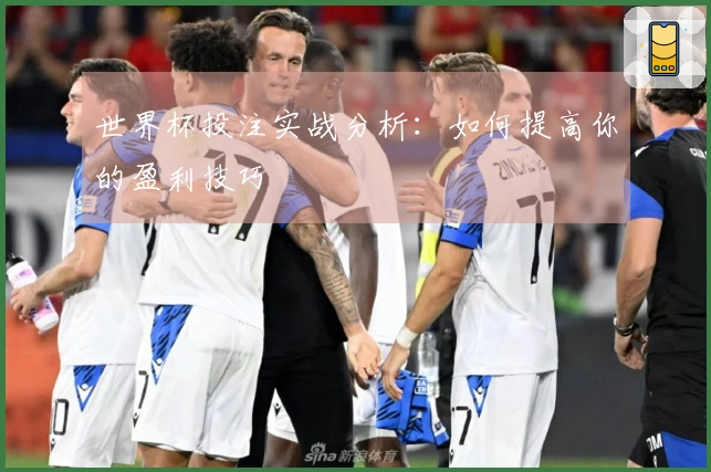 世界杯投注实战分析：如何提高你的盈利技巧