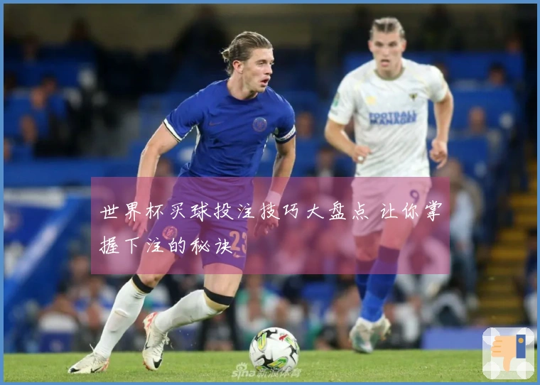 世界杯买球投注技巧大盘点 让你掌握下注的秘诀