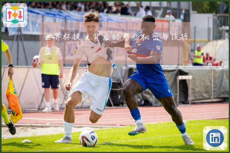 世界杯投注背后的那些秘密与技巧盘点