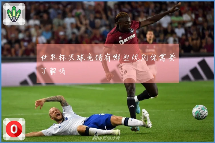 世界杯买球竞猜有哪些规则你需要了解吗
