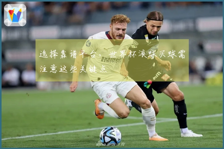 选择靠谱平台，世界杯滚球买球需注意这些关键点