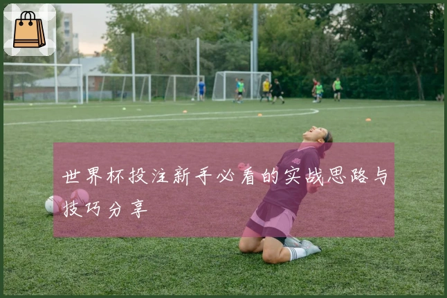 世界杯投注新手必看的实战思路与技巧分享