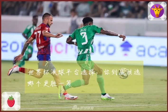 世界杯滚球平台选择，你到底该选哪个更胜一筹
