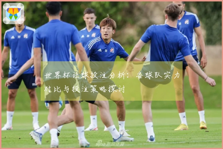 世界杯让球投注分析：各球队实力对比与投注策略探讨