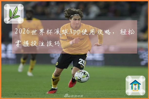 2026世界杯滚球App使用攻略，轻松掌握投注技巧