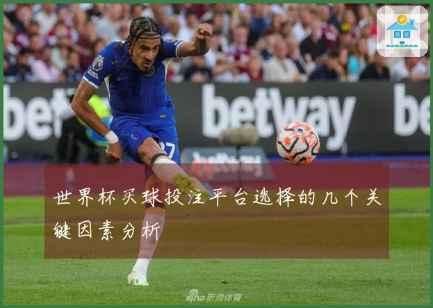 世界杯买球投注平台选择的几个关键因素分析