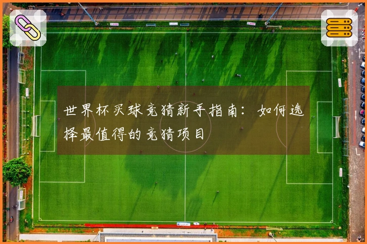 世界杯买球竞猜新手指南：如何选择最值得的竞猜项目
