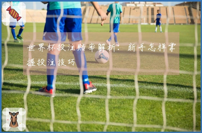 世界杯投注赔率解析：新手怎样掌握投注技巧