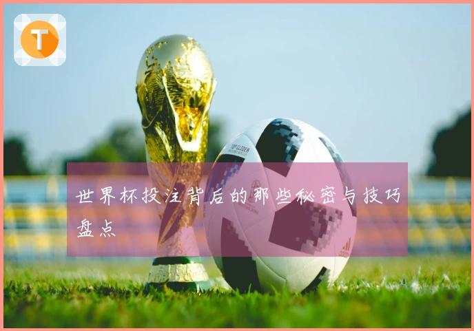 世界杯投注背后的那些秘密与技巧盘点